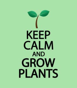 Keep calm and grow plants