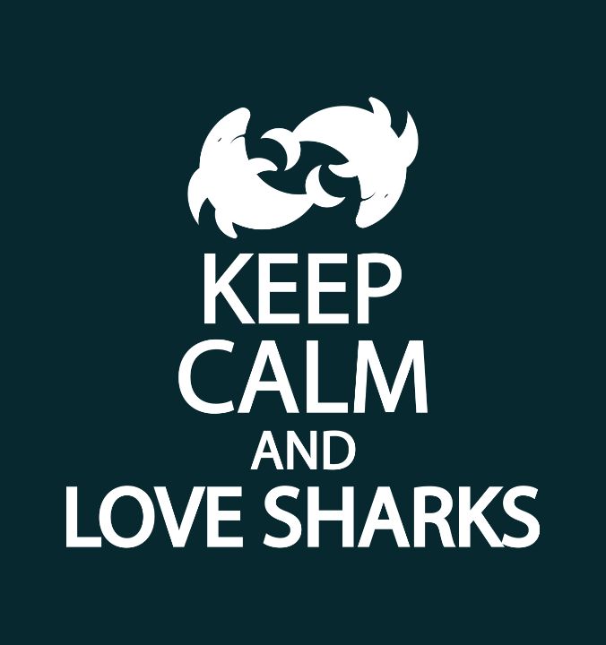 Keep calm and love sharks - Creative Photography
