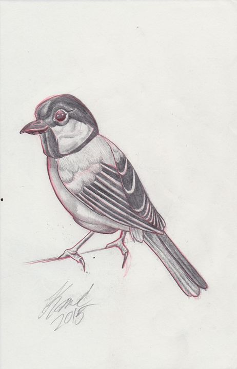 Bird Sketch - Kane Broadus