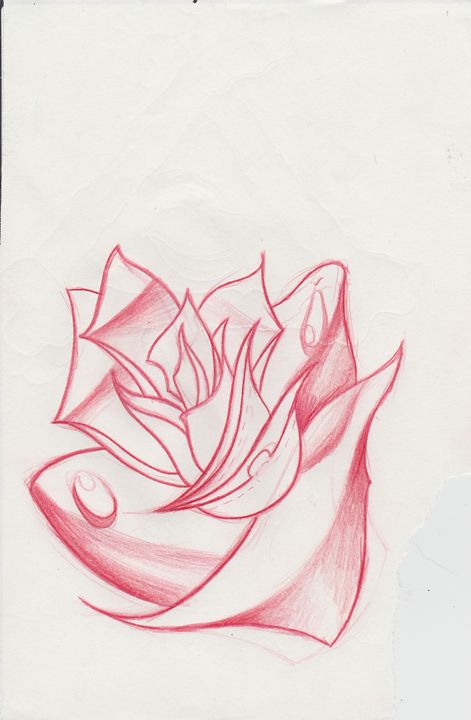 New School Rose Sketch - Kane Broadus