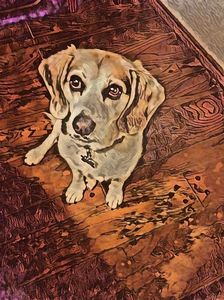 Beagle Begging Face