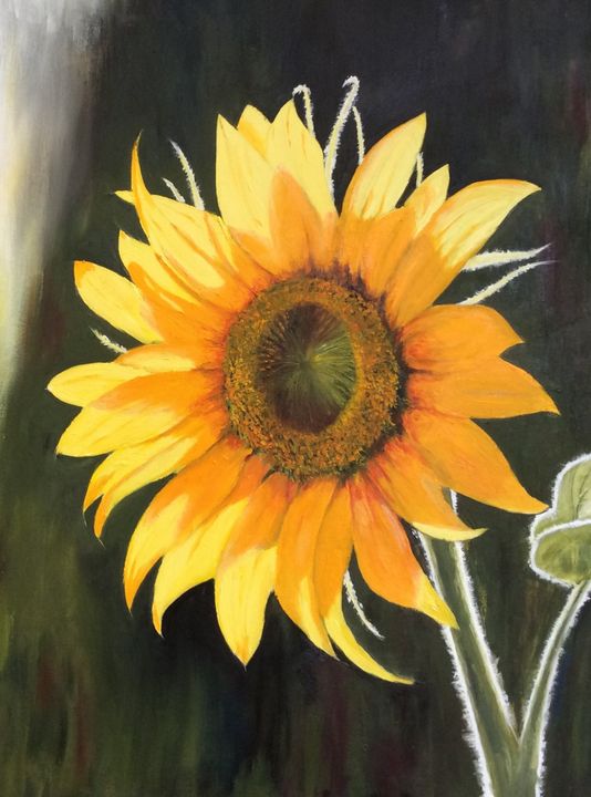 “Sunflower, Good morning” - MickeyRue Art