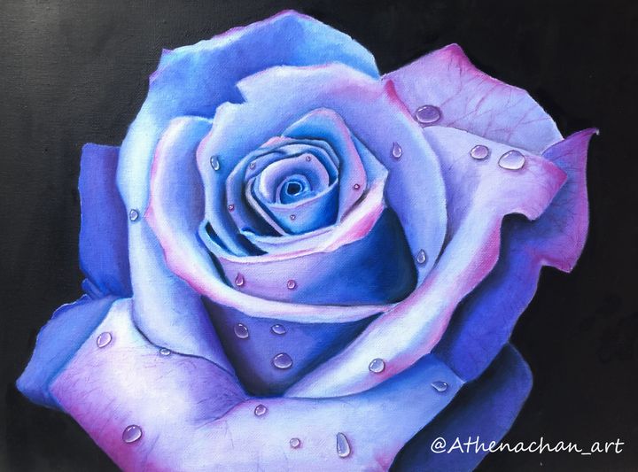 Purple rose - Athenachan_art