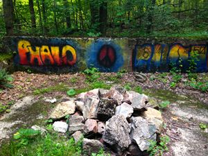 Woods Grafiti