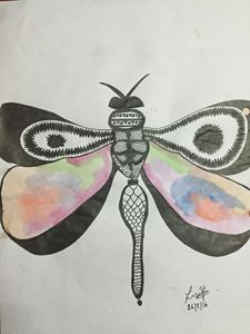 The coloured butterfly