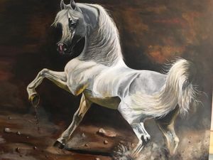 Arabian Horse