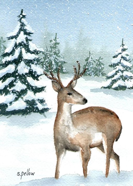 Buck in Snow - WatercolorsbySandy