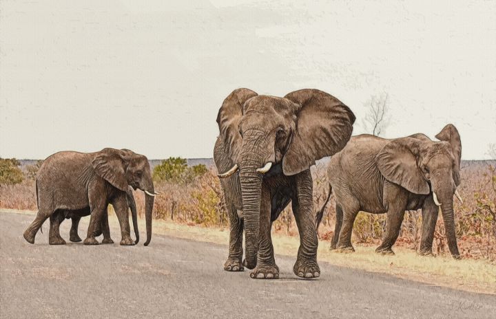 herd elephant - Art Freak - Digital Art, Animals, Birds, & Fish, Elephants  - ArtPal