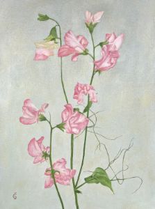 Floral oil painting "Sweet peas" - IGraudinaArt