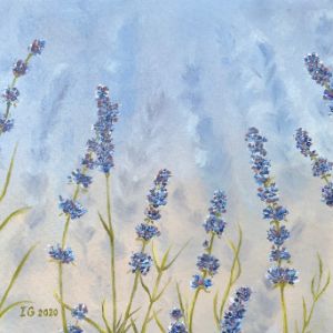 Lavender field - IGraudinaArt