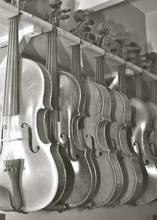 Violins in black and white - Sue Rode Photography