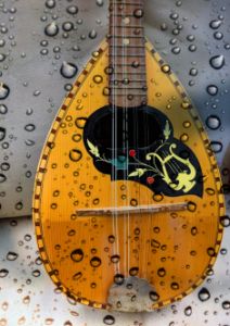 Mandolin