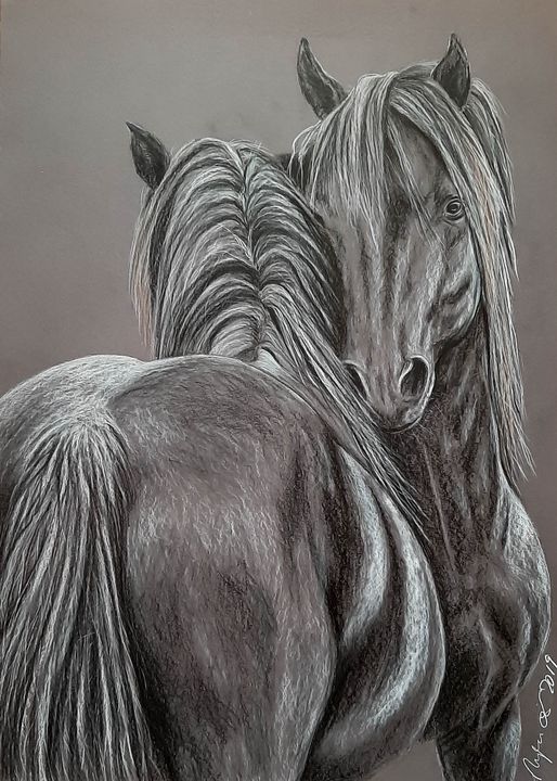 28,483 Wild Horse Sketch Images, Stock Photos & Vectors | Shutterstock