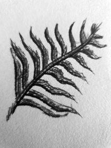 Leaf