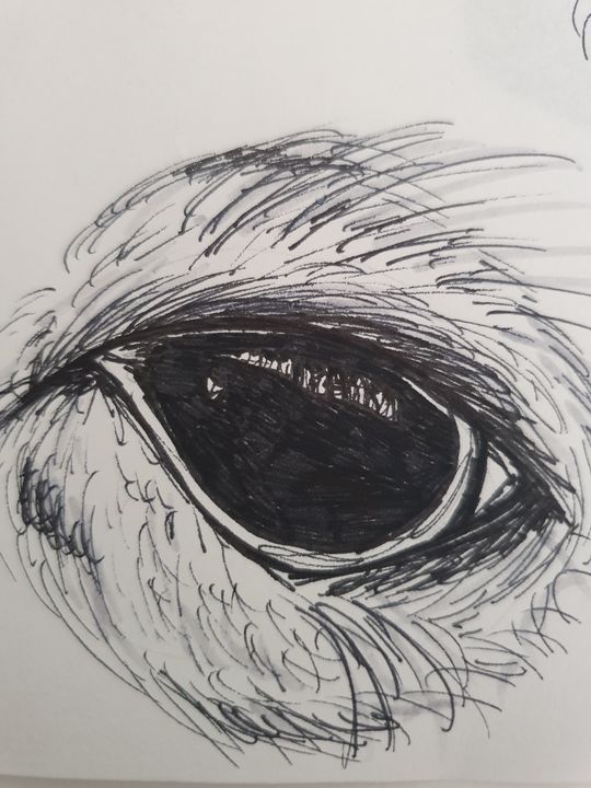 Sketch Owl Eye - Chloe