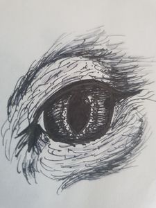 Sketch Cats Eye