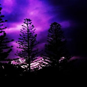 Storm