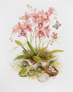 Shell with Orchids