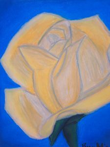 Yellow Evening Rose