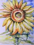 Bright happy watercolour of sunflowe