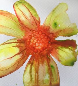 Watercolour flower