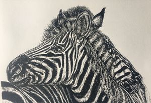 Zebra graphic