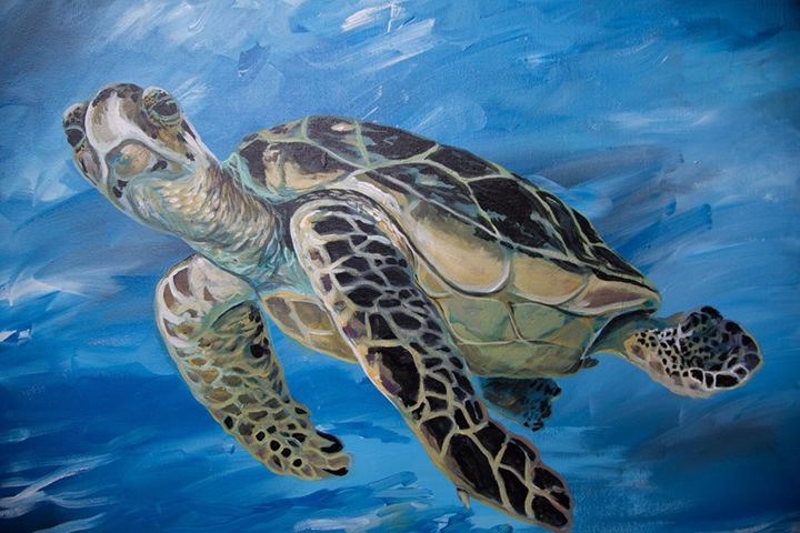 Acrylic Turtle Canvas - Gonzo's Art - Paintings & Prints, Animals ...