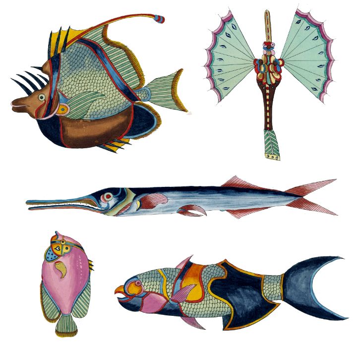 Fish Paintings