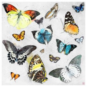 Butterflies Watercolour