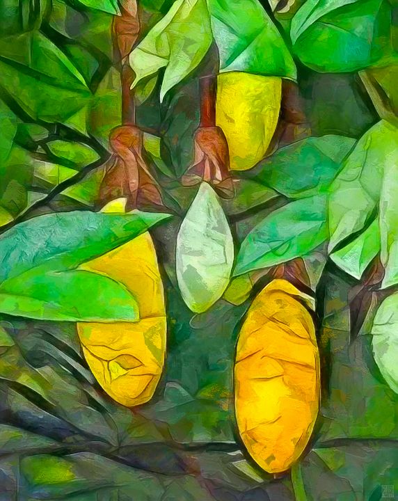 Tropical Fruit - Paintings