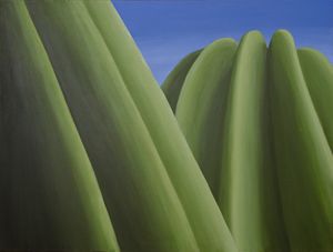 Saguaro Crowns