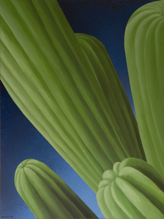 Saguaro Flight - Paintings by Nintzel