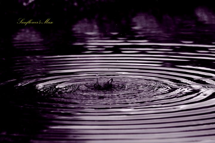 Purple Water Hues - Sunflower’s Muse