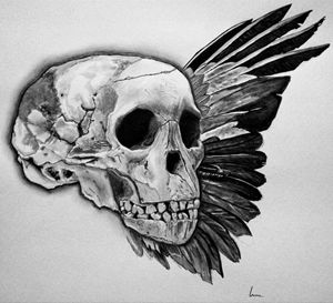 Skull and Wing