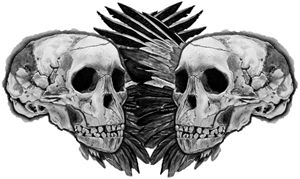 Skull and Wing Reflection