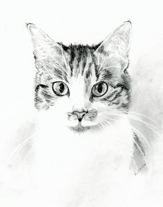 Portrait of Smudge