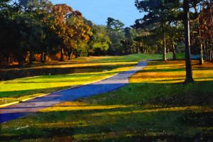 Mississippi Golf Course - Shadow and Form
