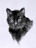 Paintings and Drawings by Leann