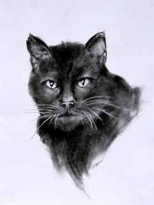Black Cat with Attitude