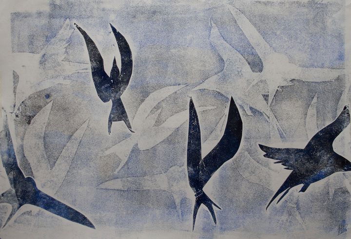 Arctic Tern frenzy - Bronwyn Garfirth