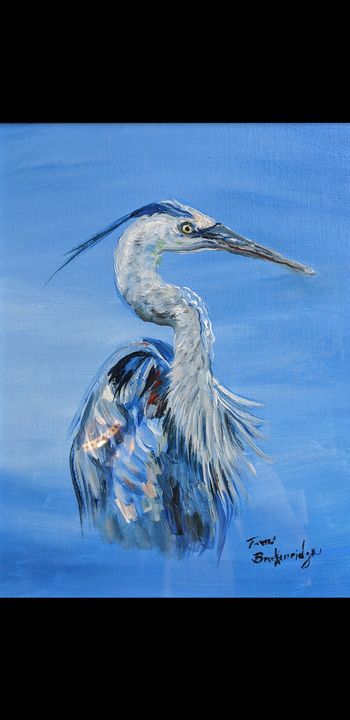 Blue Everglades Heron - Tom Breckenridge - Paintings & Prints, Animals ...