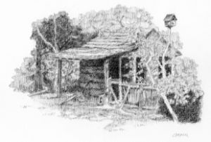 Georgia Cabin