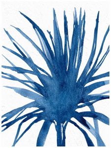 PDFDecor_IMAGE 16x20