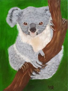 Koala Kuddles