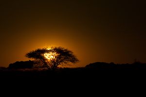 Fiery African Sunset