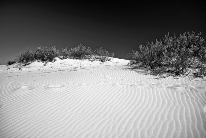 White Sands National Monument #5 - Lou Novick