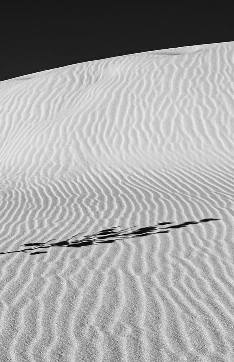 White Sands National Park #4 2 of 2 - Lou Novick