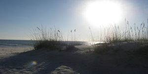 Sunny Sand Dunes