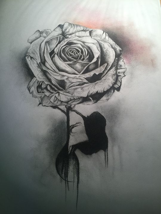 charcoal simple pencil rose drawing