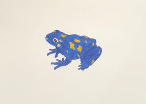 Frog - Maverik Art